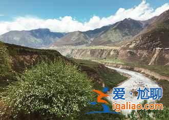 2017林芝桃花節(jié),林芝桃花節(jié)開幕時間、地點(diǎn)? 2017林芝桃花節(jié),林芝桃花節(jié)開幕時間、地點(diǎn)?