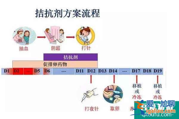如何根據(jù)AMH數(shù)值定試管嬰兒助孕方案？？