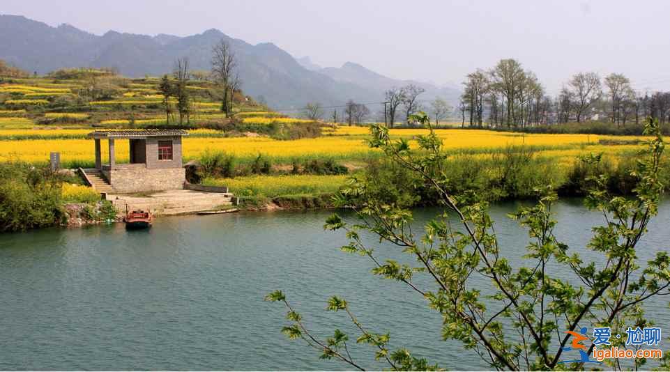 中國(guó)最美的十大油菜花海，赴一場(chǎng)花海盛宴？