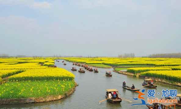 中國(guó)最美的十大油菜花海，赴一場(chǎng)花海盛宴？