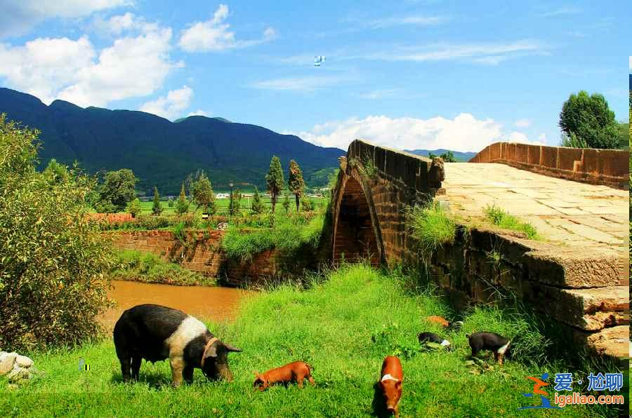 中國熱門旅游城市top10，你去過哪些？？