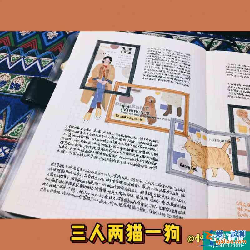 【手帳分享】A5拼貼+排版明星大偵探還是牛的？