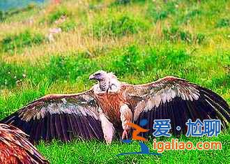 關(guān)于印度的幾點(diǎn)誤解,大多數(shù)人都錯(cuò)了?。? alt=
