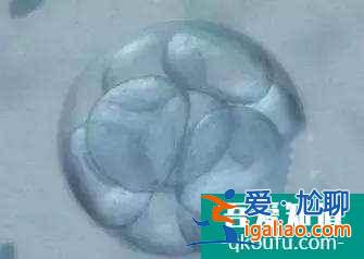 宮腔環(huán)境不好會(huì)影響胎兒正常發(fā)育嗎？？