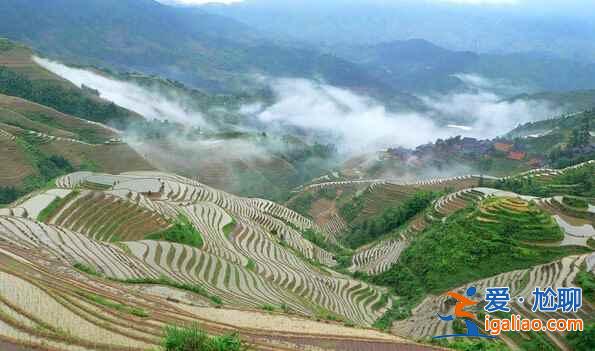 中國(guó)最美的五大梯田？