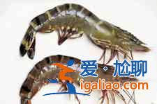 紅燒大蝦的做法？