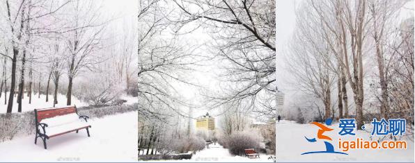 冷空氣頻繁專供北方 南方透雨過后還有明顯降水嗎？？