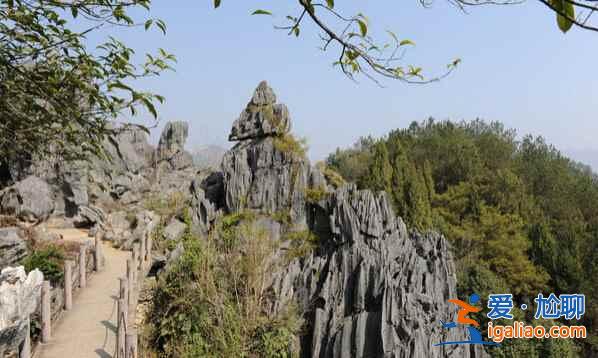 中國(guó)四大石林，看盡自然鬼斧神工？