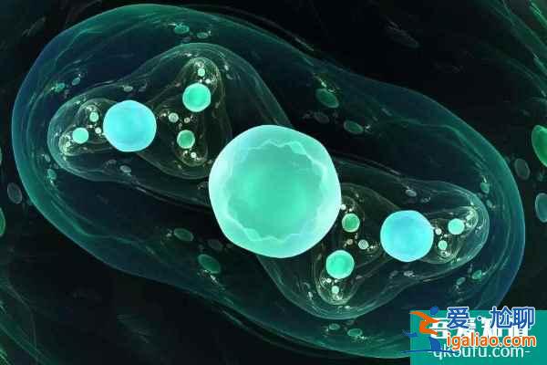 多囊卵巢綜合癥赴美做試管嬰兒，能成功嗎？？