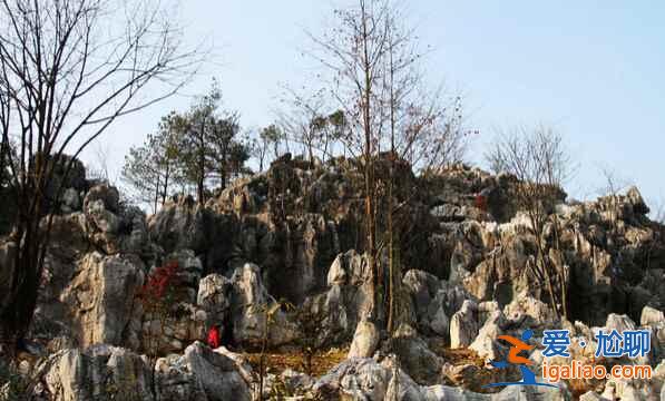 中國(guó)四大石林，看盡自然鬼斧神工？