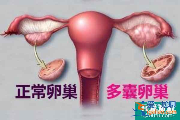 試管科普：凍胚移植適用人群及操作流程解析??？