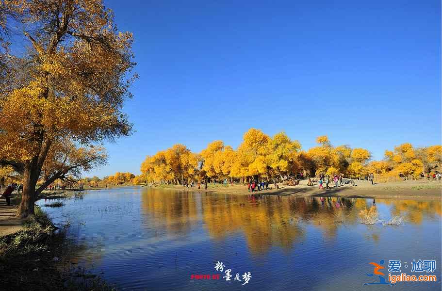 盤點(diǎn)國(guó)內(nèi)9大最驚艷的秋色？