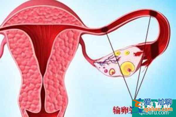 第三代試管嬰兒助力擺脫生育困擾，圓幸福家庭？