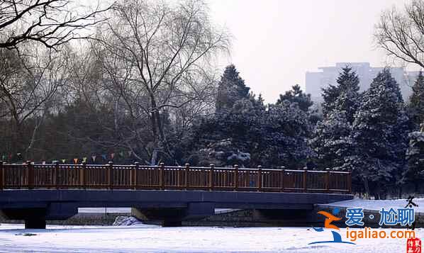 盤點國內(nèi)賞雪景好去處？