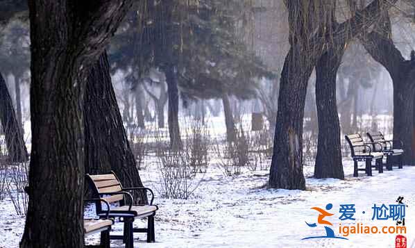 盤點國內(nèi)賞雪景好去處？