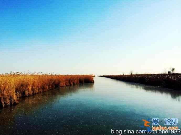 純靜美：中國(guó)最美六大沼澤濕地？