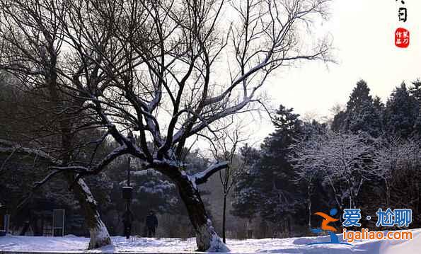 盤點國內(nèi)賞雪景好去處？