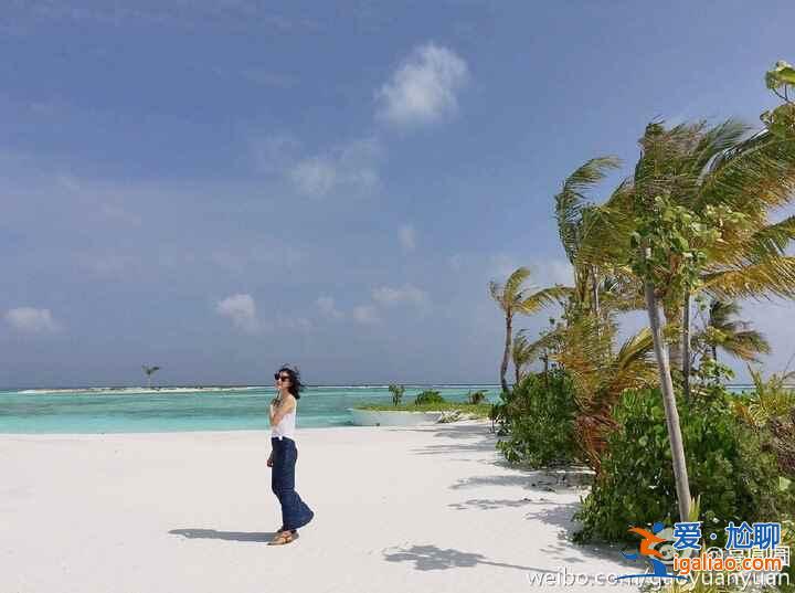 這個(gè)冬天,看看明星們都去哪兒旅游了? 這個(gè)冬天,看看明星們都去哪兒旅游了?