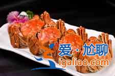 大閘蟹做法大全？