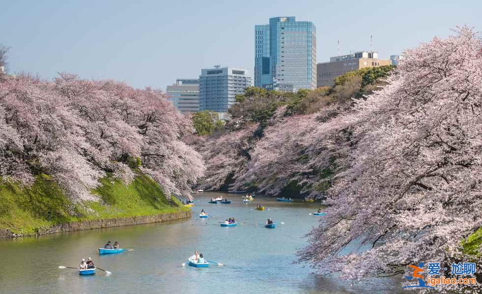 【東京哪里看櫻花好】東京賞櫻勝地，東京5大櫻花觀賞地推薦？