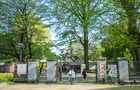 【東京哪里看櫻花好】東京賞櫻勝地，東京5大櫻花觀賞地推薦？