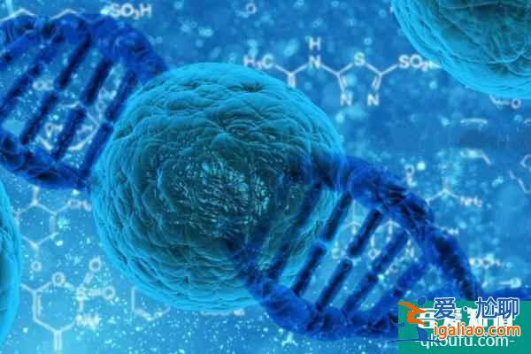 試管嬰兒為子宮腺肌癥患者保孕護(hù)航？