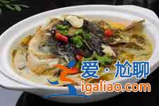 燉魚頭湯？