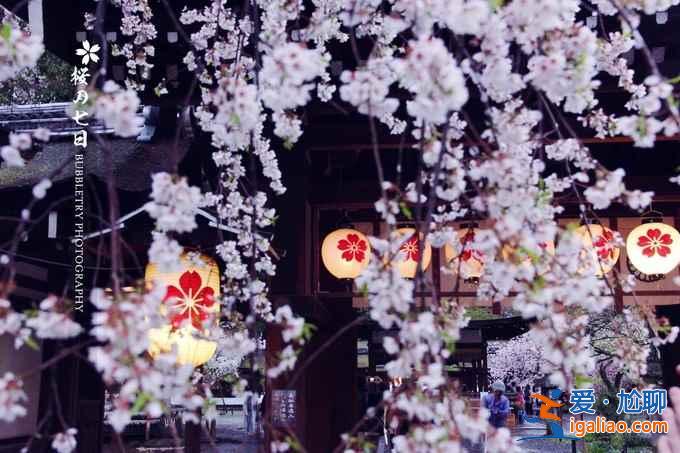 2017京都櫻花什么時(shí)候開，京都賞櫻花人少的地方？