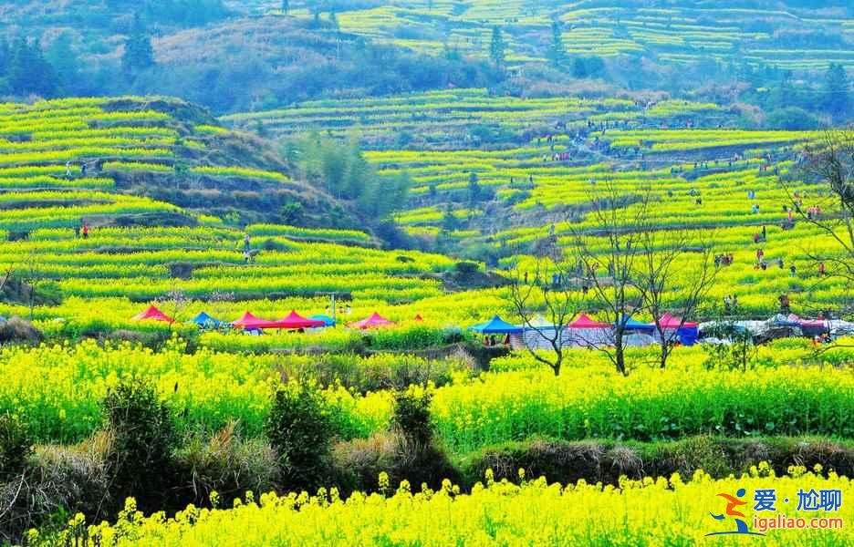 心目中的山水田園，應(yīng)該就是這個(gè)樣子吧？