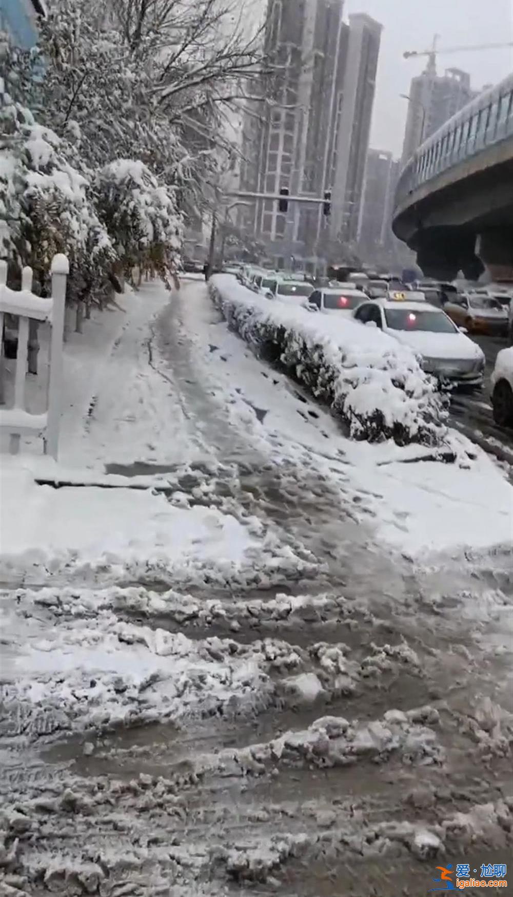 東北一場大雪 凍出電動汽車“心臟病”？