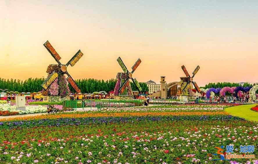 土豪迪拜又來(lái)了！建世界最大最美花園（多圖）？