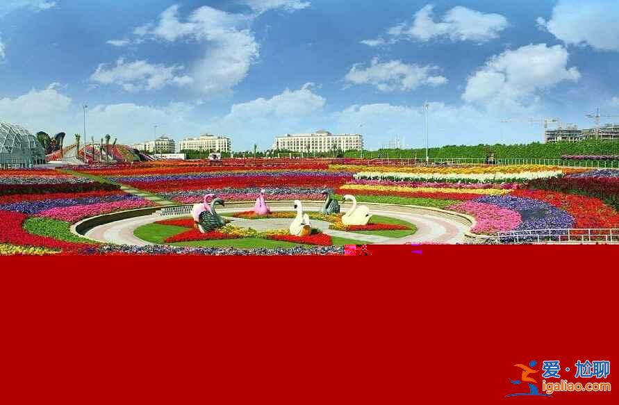 土豪迪拜又來(lái)了！建世界最大最美花園（多圖）？