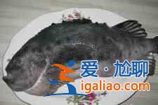 海參斑魚的做法？