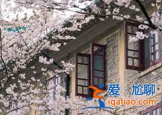 【中國(guó)賞櫻圣地】看櫻花,在中國(guó)就足夠了?。? alt=