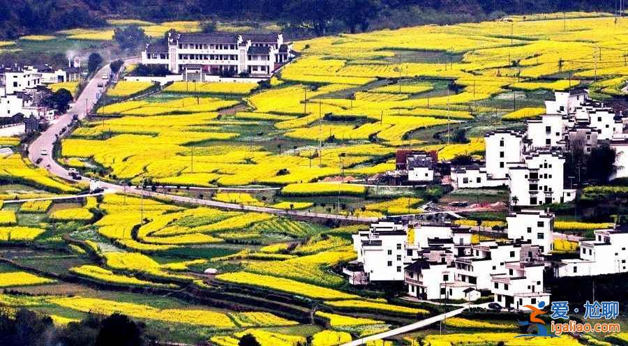 中國(guó)賞油菜花地圖，赴一場(chǎng)花田盛宴??？