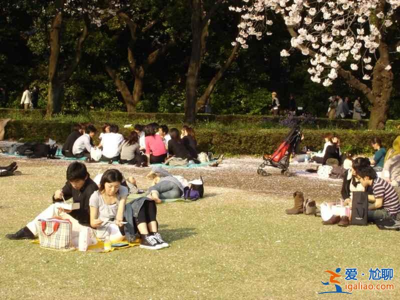 【東京櫻花什么時候開】2017東京櫻花花期+觀賞地+交通指南？