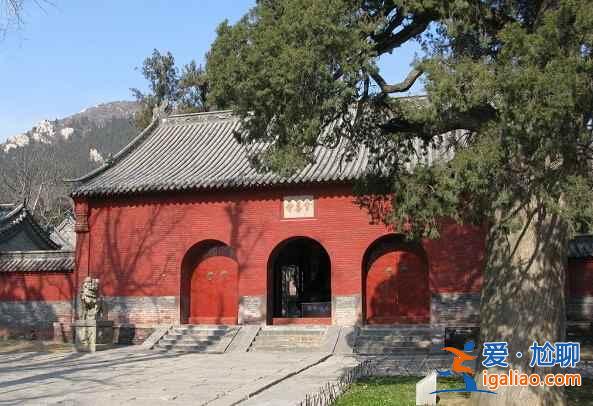 喜訊！嵩山兩景點向游客免費開放？
