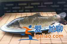紅燒草魚(yú)的家常做法？