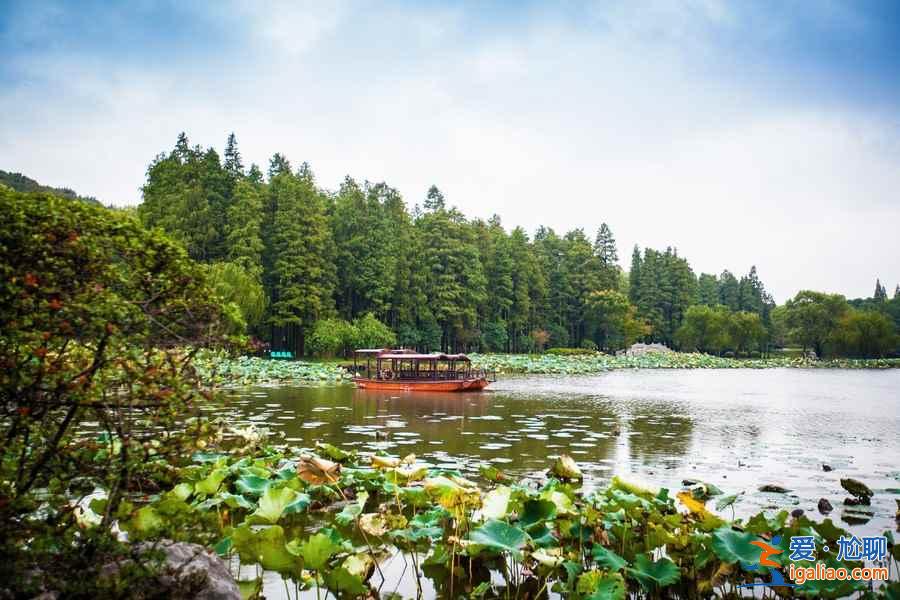 無錫賞花時間表，從春美到冬？