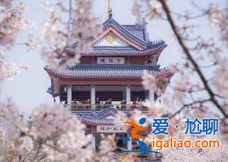 無錫賞花時間表，從春美到冬？