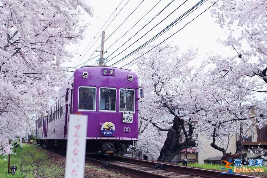 【嵐山櫻花隧道在哪】嵐山櫻花隧道怎么坐車(chē),與嵐山小火車(chē)有什么差別? 【嵐山櫻花隧道在哪】嵐山櫻花隧道怎么坐車(chē),與嵐山小火車(chē)有什么差別?