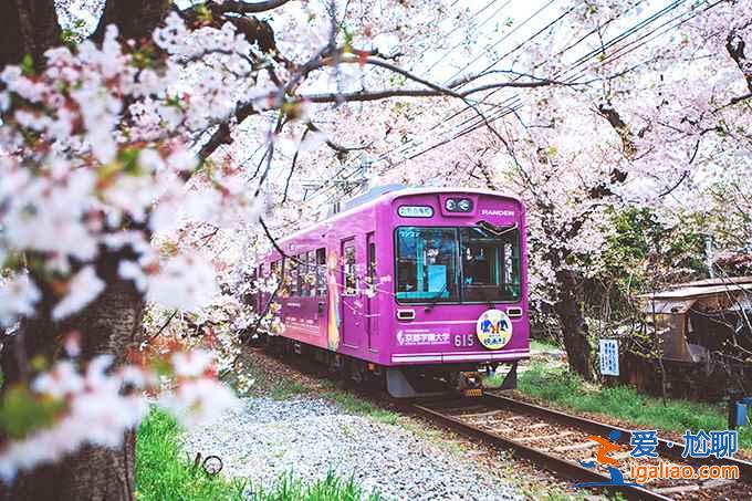 【嵐山櫻花隧道在哪】嵐山櫻花隧道怎么坐車(chē),與嵐山小火車(chē)有什么差別? 【嵐山櫻花隧道在哪】嵐山櫻花隧道怎么坐車(chē),與嵐山小火車(chē)有什么差別?