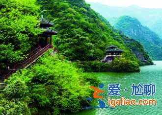 【去哪里看油菜花】2018去哪里看油菜花，國(guó)內(nèi)油菜花觀賞地大全？
