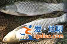 草魚的家常做法？