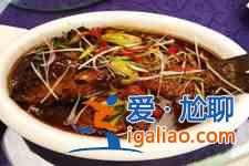 啤酒燉魚(yú)？