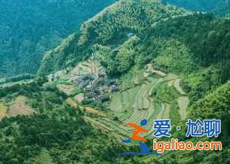 仙居薰衣草地址,仙居薰衣草怎么去,仙居薰衣草在哪? 仙居薰衣草地址,仙居薰衣草怎么去,仙居薰衣草在哪?