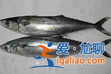 熏鲅魚的做法？