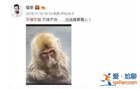 戰(zhàn)狼2為什么邀請張翰 吳京后悔選張翰出演戰(zhàn)狼2真相？