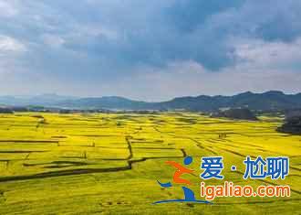 【2018羅平油菜花節(jié)】2018羅平油菜花什么時候開，2018羅平油菜花花期？