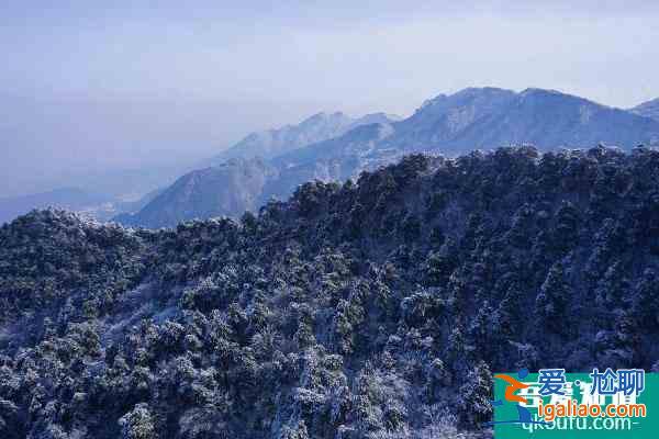 2022廬山元旦能開車上山嗎？